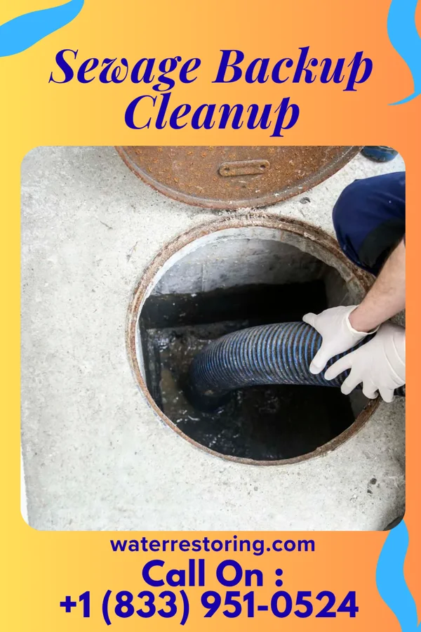 Sewage Backup Cleanup in St. Bernice, IN