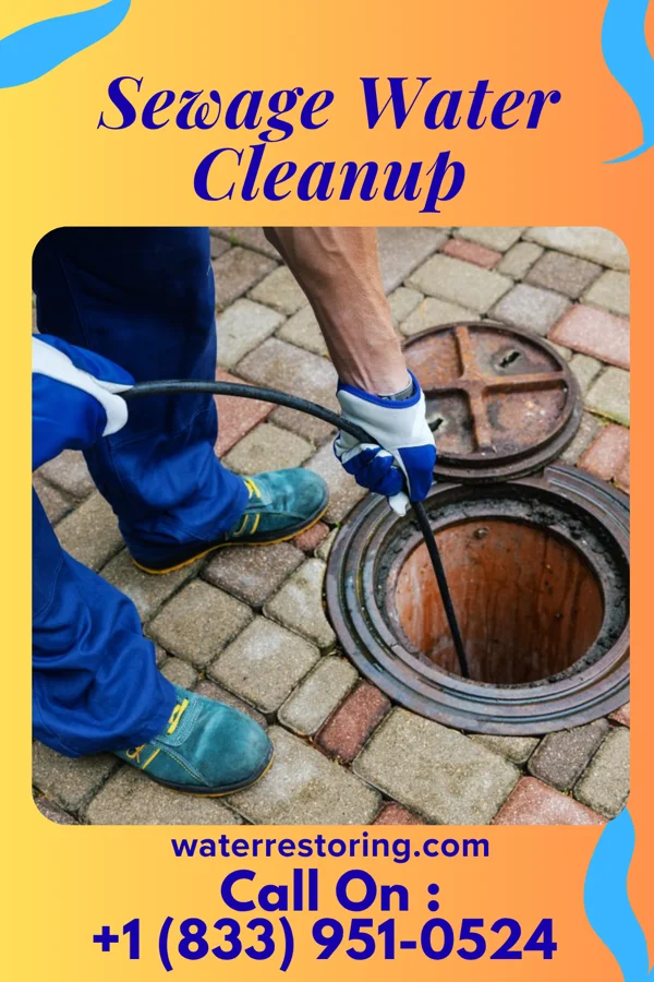 Sewage Water Cleanup in St. Bernice, IN