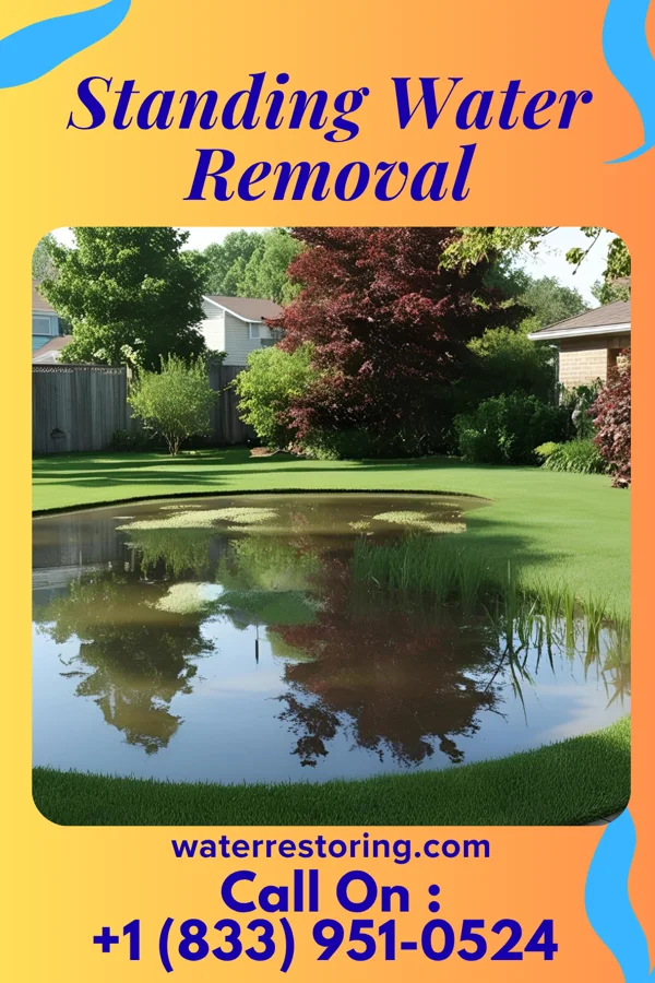 Standing Water Removal in St. Bernice, IN